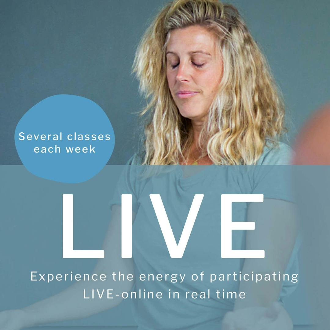 Experience our real-time classes online via Yogobe LIVE - check out the schedule here!