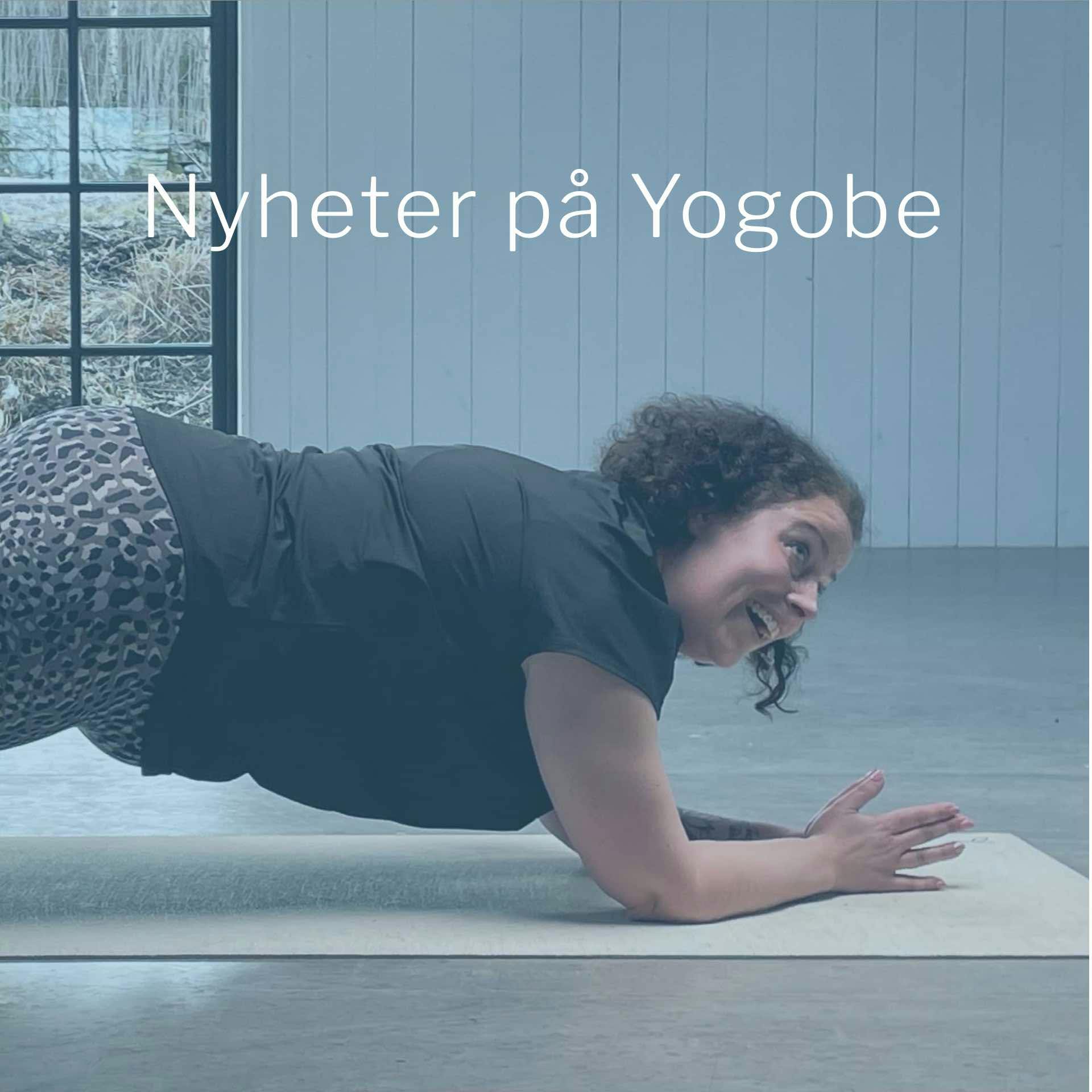 Ta en titt på våre siste nyheter om Yogobe innen online yoga, trening, meditasjon og pust.