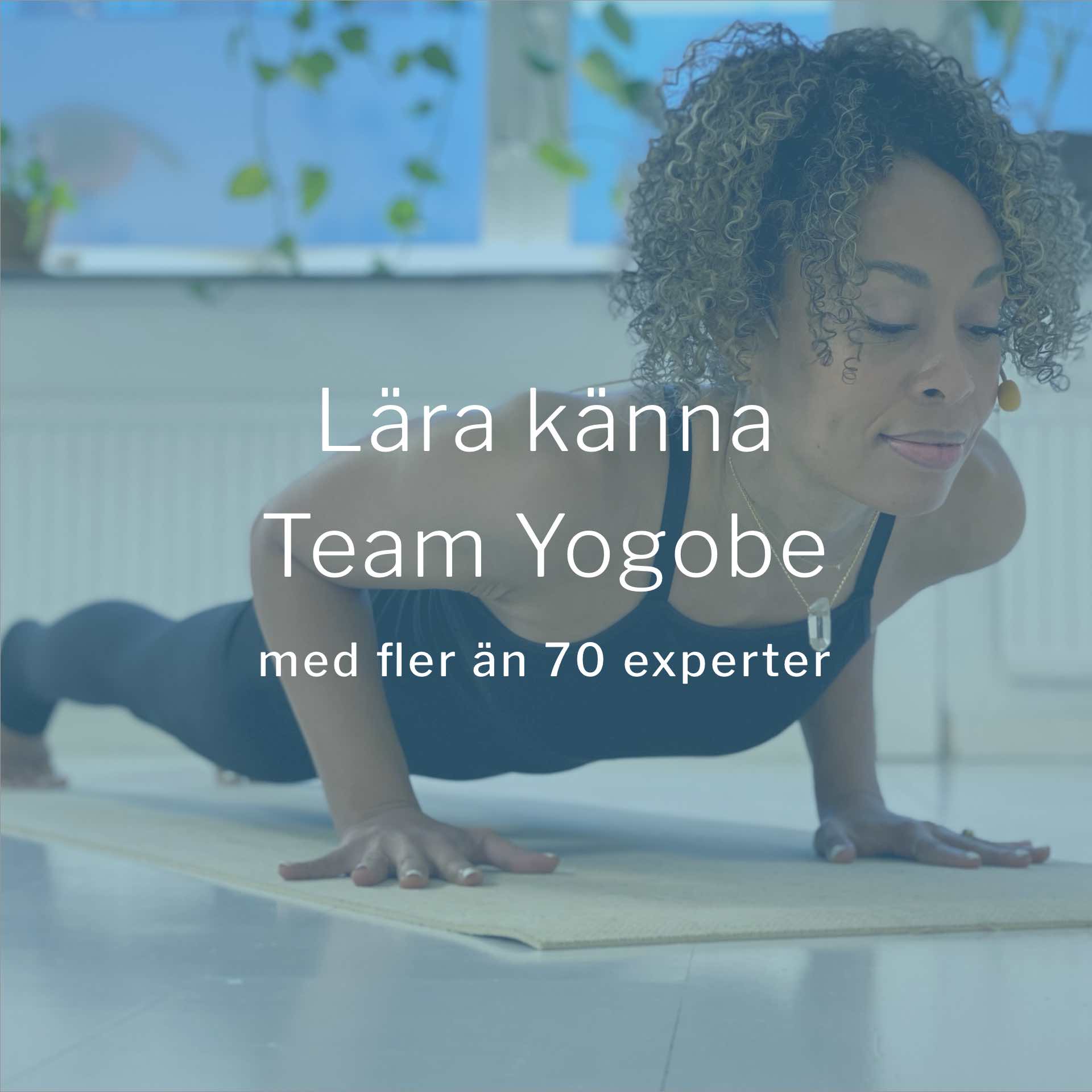 Lär känna Team Yogobe - med över 90 exeperter och lärare inom yoga, träning, meditation och andning.
